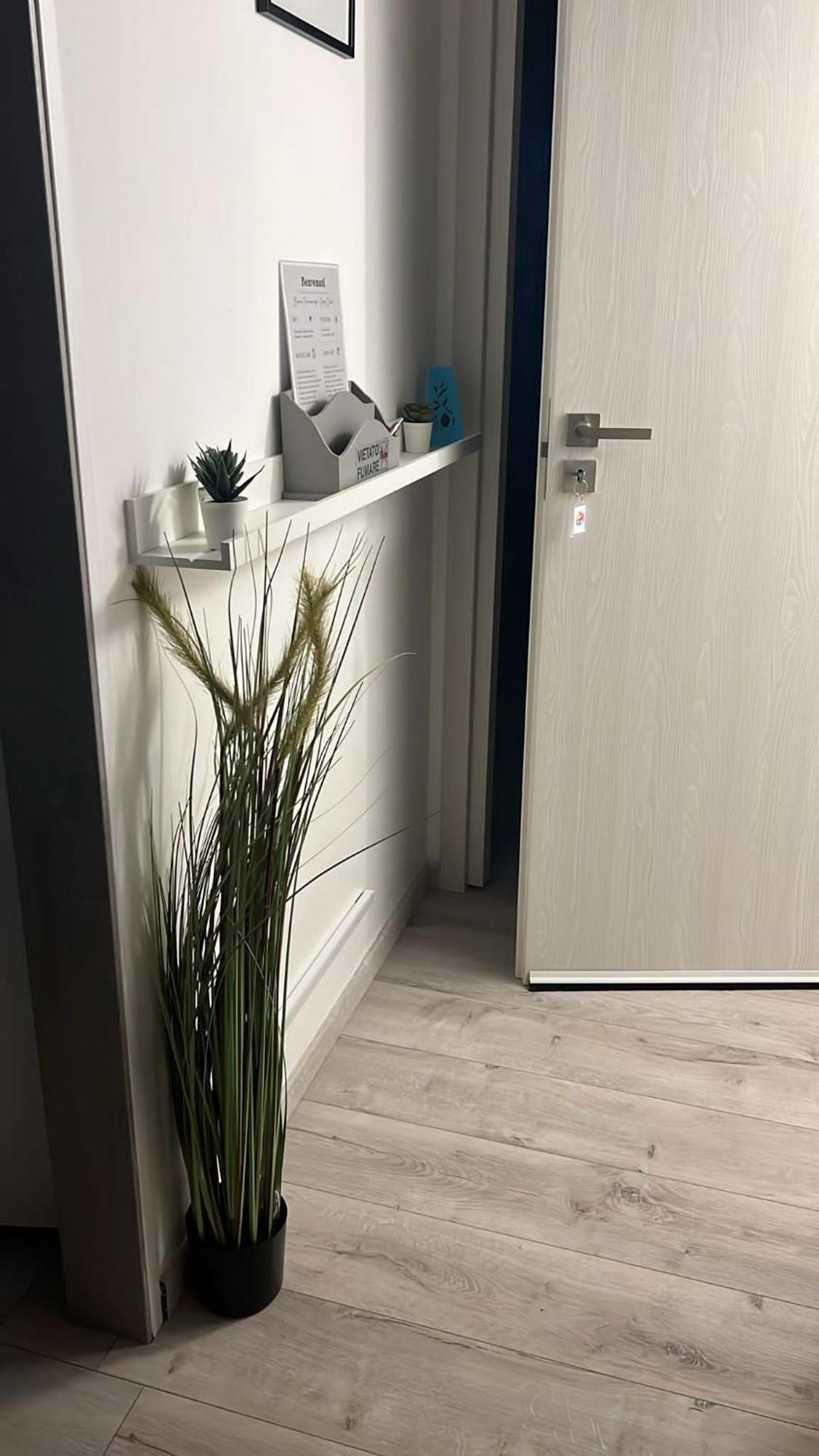Carpe Diem Adult Only Appartamento Roma